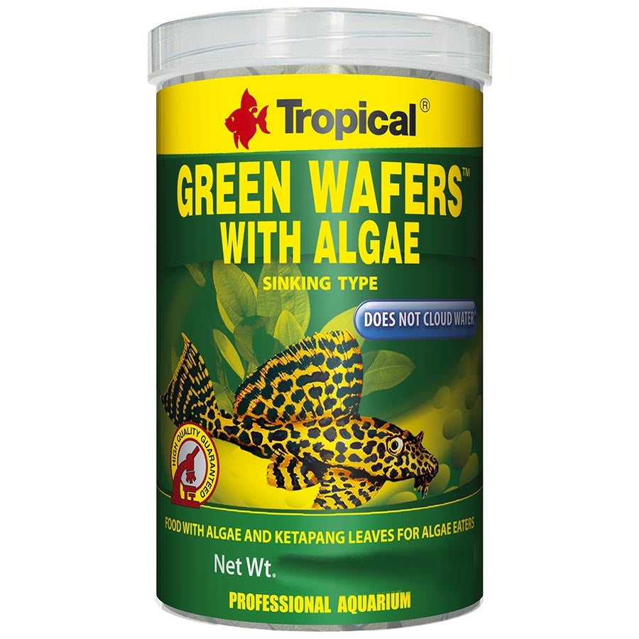 Tropical Green Algae 10mm Wafers 250ml 113g Sinking  Fish Food