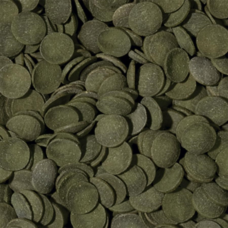 Tropical Green Algae 10mm Wafers 1000ml 450g Sinking  Fish Food