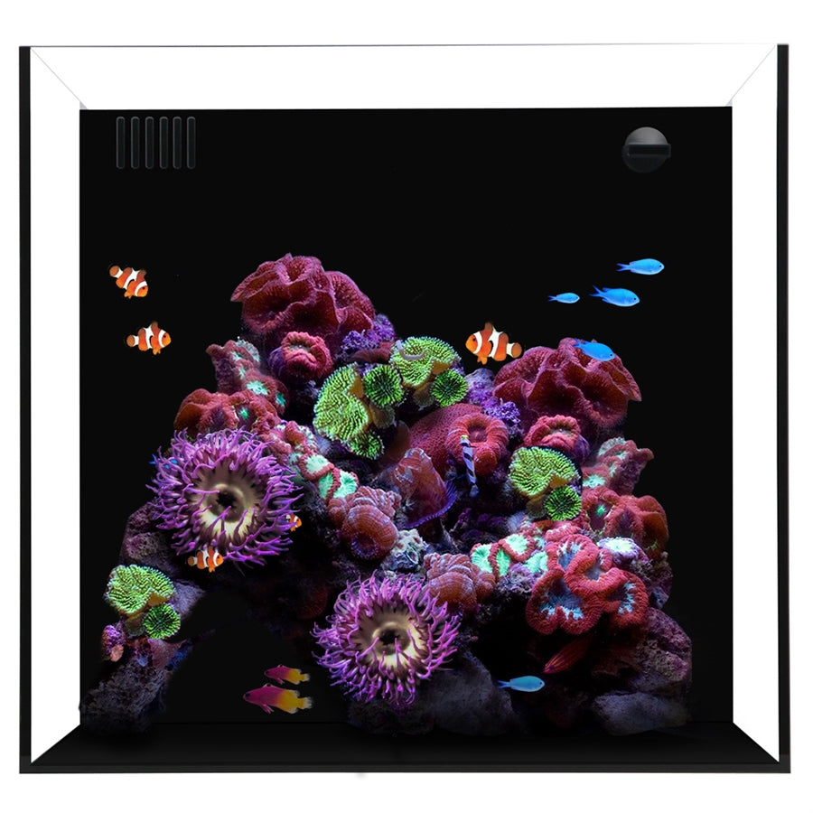 Waterbox AIO Cube 20 Aquarium