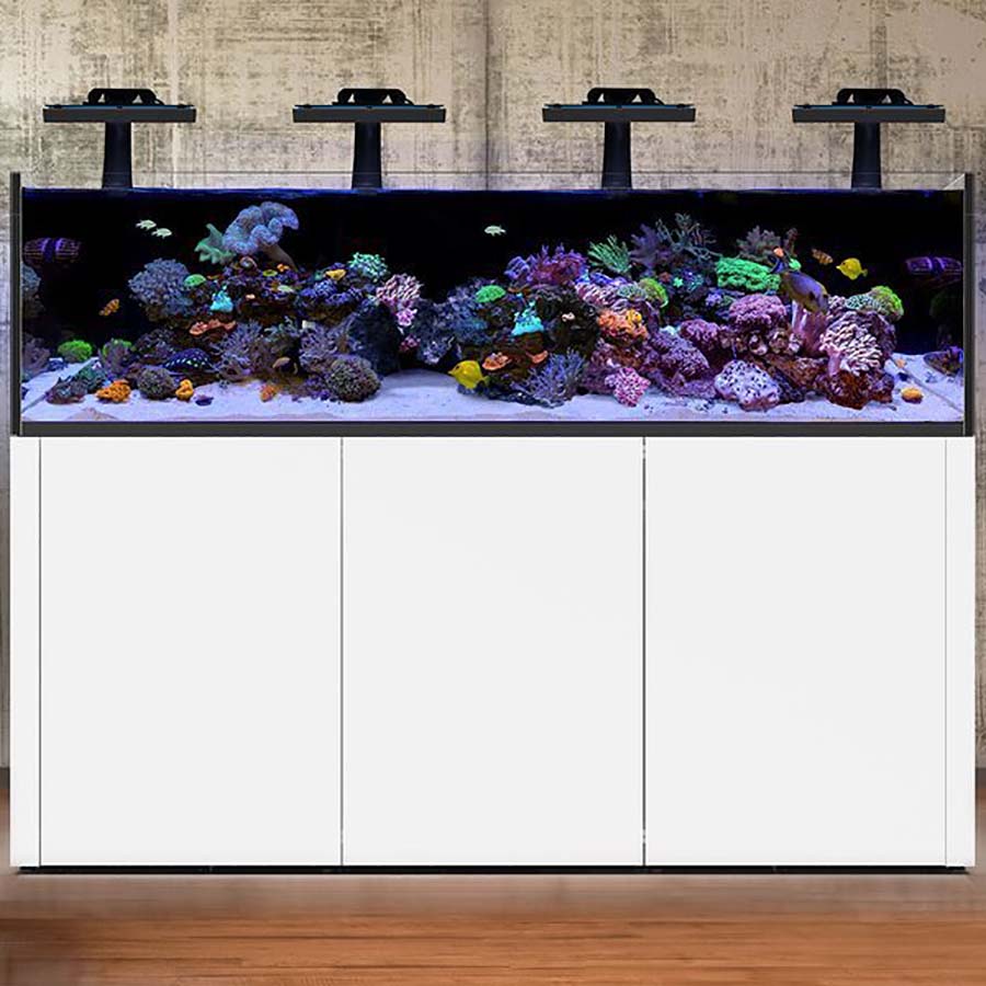 Waterbox Reef LX 230.5 - 858 Litres - White Cabinet - Special Order