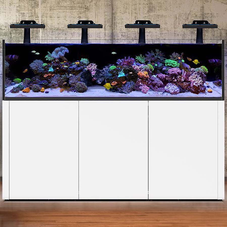 Waterbox Reef LX 190.4 - 518 Litres - White Cabinet - Special Order