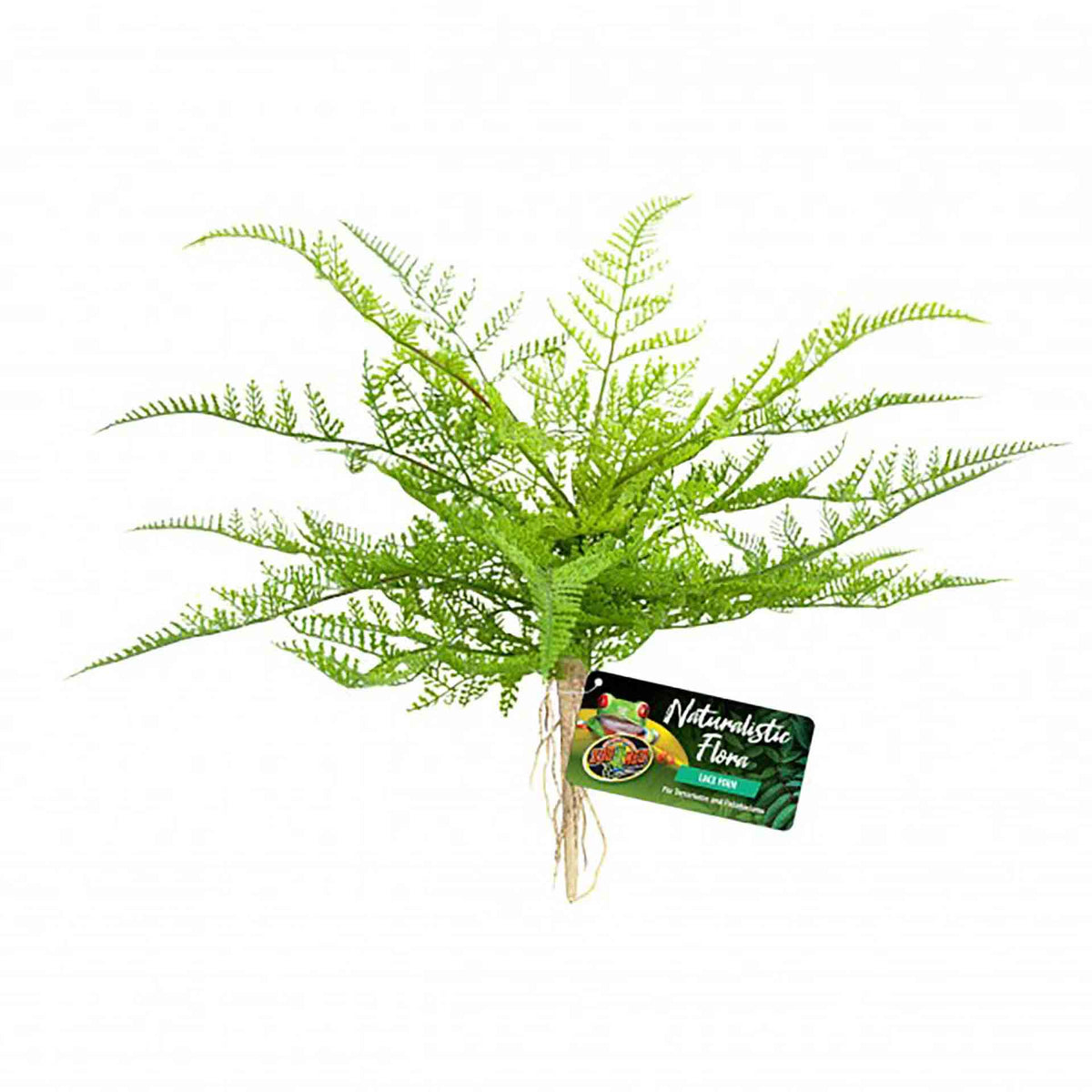 Zoo Med Lace Fern