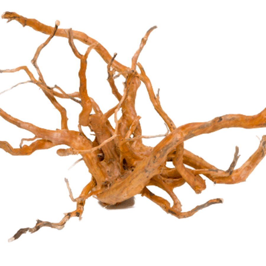 Aqua Premium Wood Root Large 40-50cm - in store pick up only